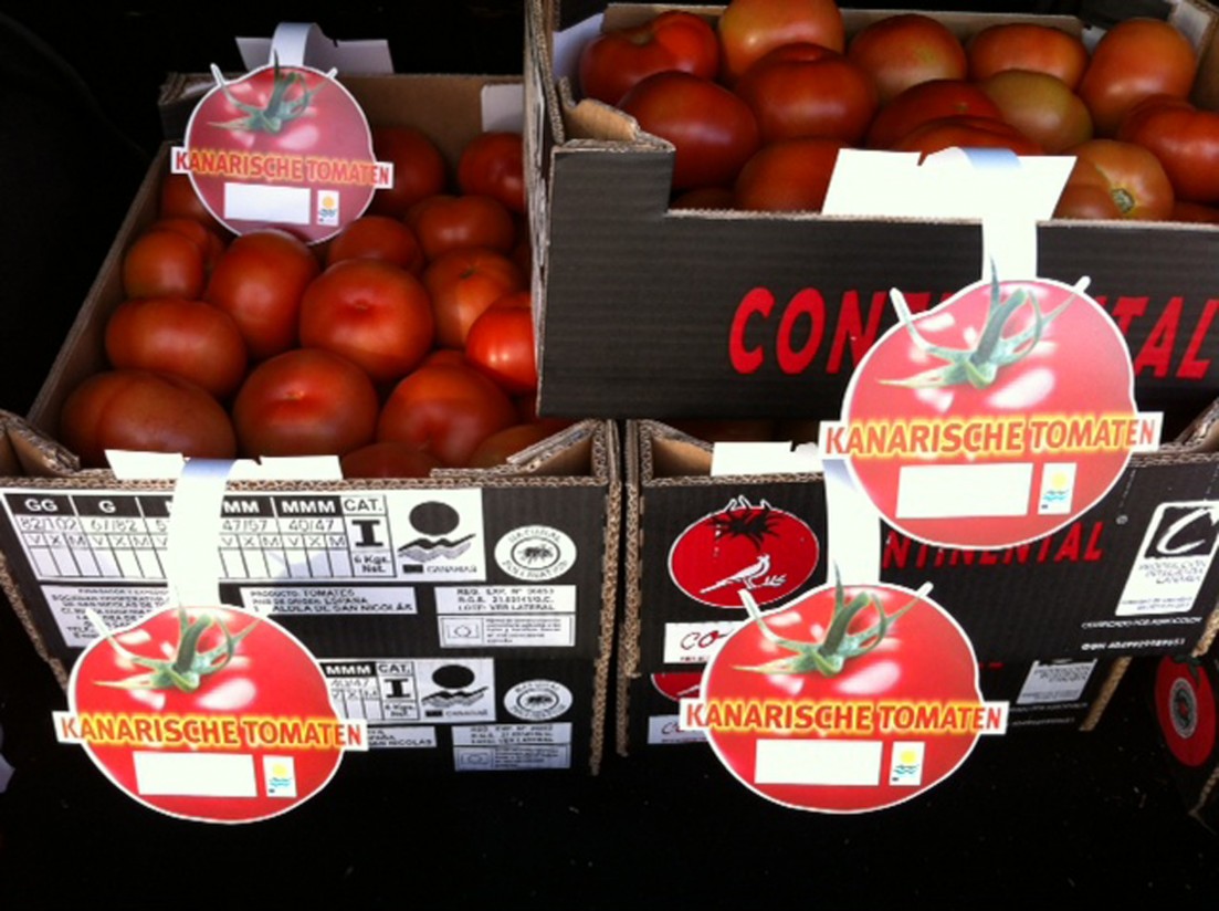 El sector del tomate reclama a la CE medidas para evitar el colapso del mercado