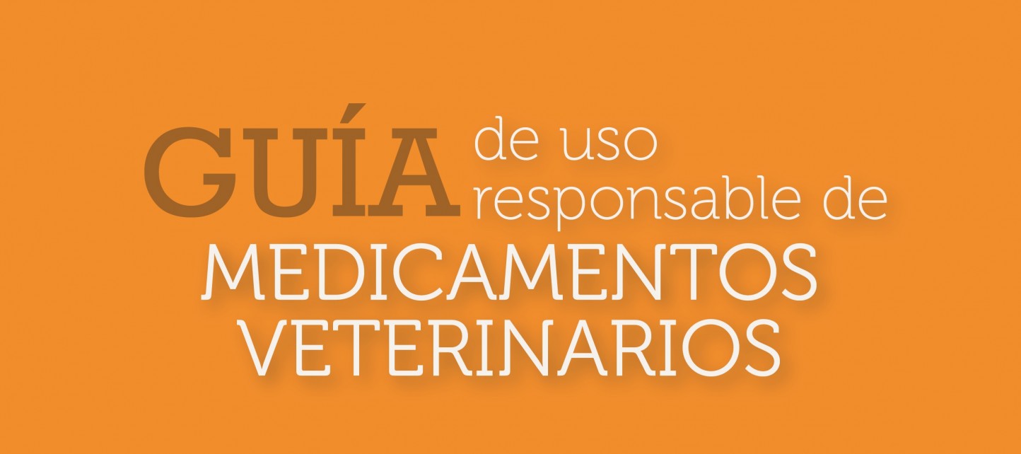 Vetresponsable publica la “Guía de uso responsable de medicamentos veterinarios en bovino”