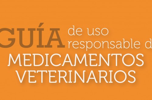 Vetresponsable publica la “Guía de uso responsable de medicamentos veterinarios en bovino”