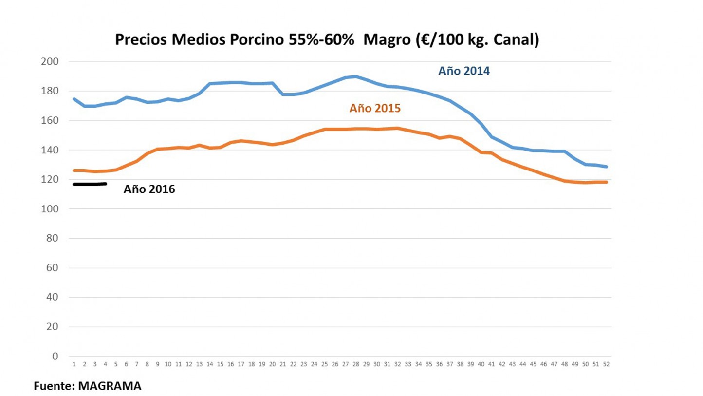 Unión de Uniones denuncia la bajada del precio medio del porcino en un 32%