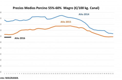 Unión de Uniones denuncia la bajada del precio medio del porcino en un 32%