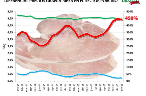 Los muy bajos precios de origen no se trasladan al PVP de la carne de cerdo