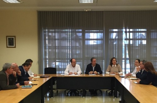 Murcia cifra en 45 M€ las pérdidas en cosechas por la helada de la pasada semana