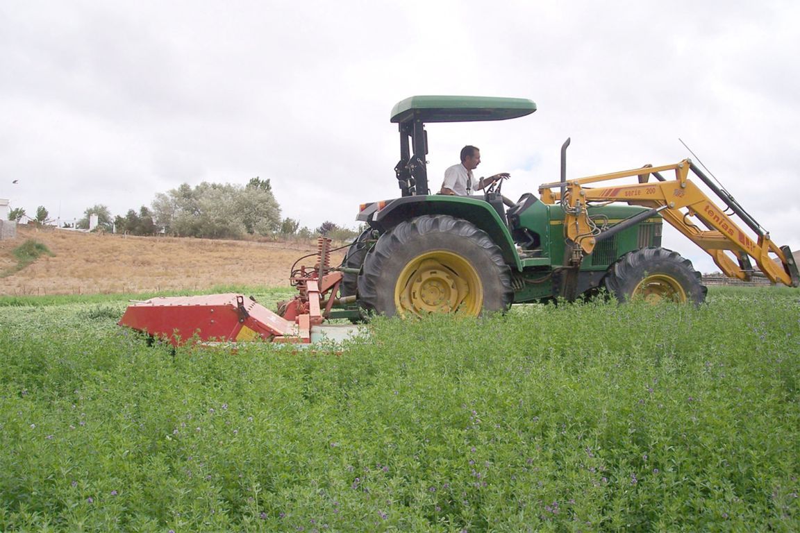 ASAJA se opone a la eliminación del sistema de módulos del IRPF para el sector agrario