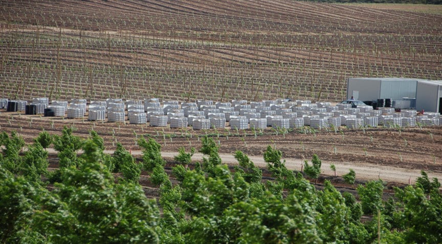 Uso de la fertirrigación para reducir el período improductivo en melocotonero