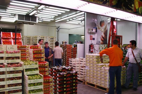 Cooperativas pide en el PE una estrategia exportadora única y armonizada para el sector hortofrutícola