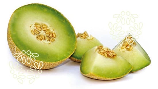 Bayer lanza en Fruit Logistica su nuevo melón Galkia