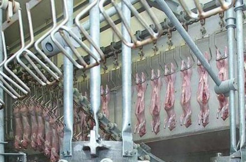 COAG carga contra los grandes mataderos que operan en el sector cunícola