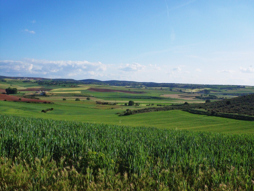 Revisión a la baja de la renta agraria, que creció un 3,3% por ocupado en 2015