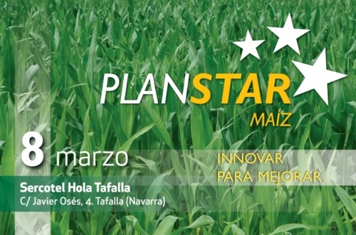 Nueva edición del Plan STAR Maíz el próximo 8 de marzo en Tafalla