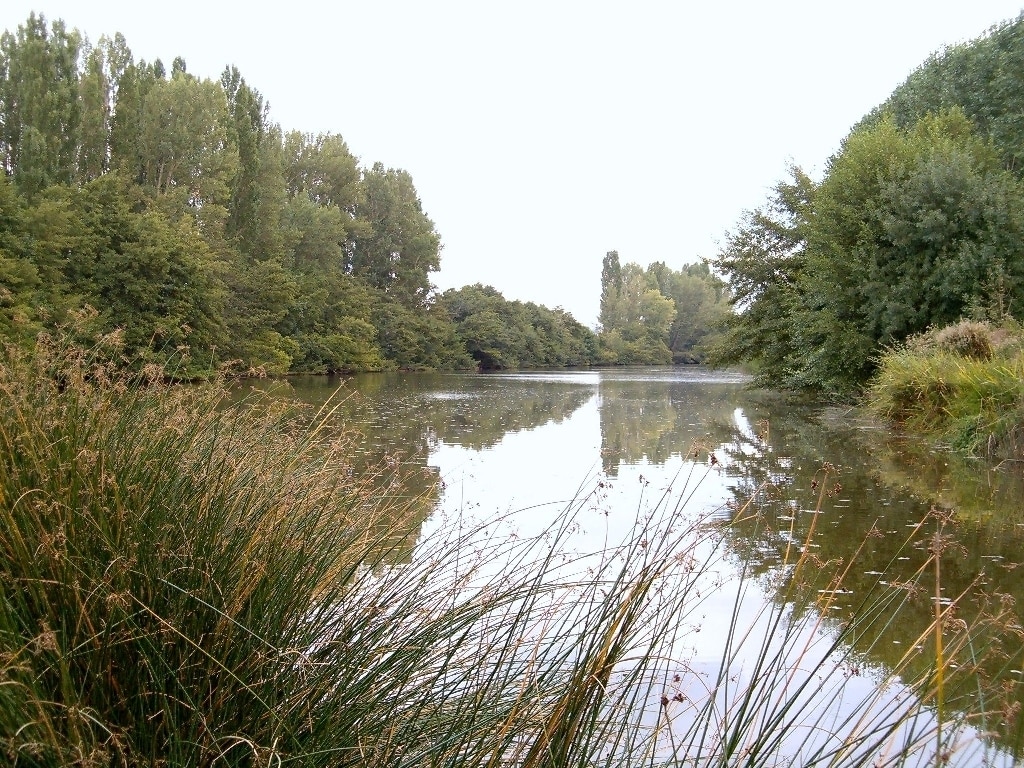 El reto de la gestión del agua en pequeños núcleos, análisis del Gobierno de Aragón en Smagua 2016