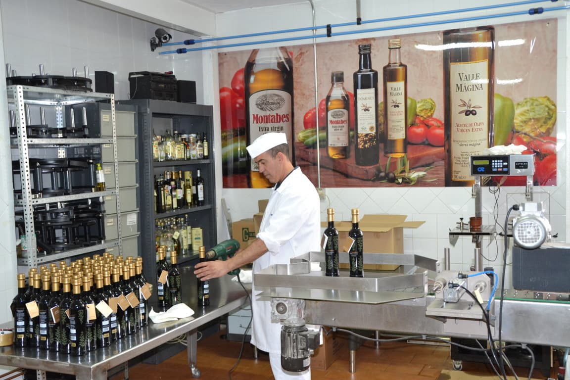 Mejoran un 4% las ventas envasadas de aceite de oliva en los primeros meses de 2016