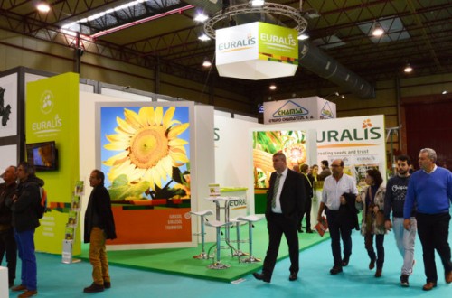 Euralis y Maïsadour estudian su fusión para fortalecer el apoyo a la agricultura en el suroeste de Francia
