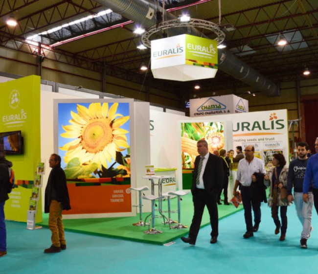 Euralis y Maïsadour estudian su fusión para fortalecer el apoyo a la agricultura en el suroeste de Francia