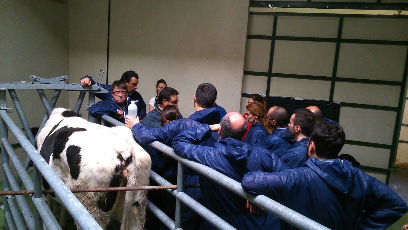 Zoetis colabora en el curso de ecografía músculo-esquelética, visceral y reproductiva en bovinos de Humeco