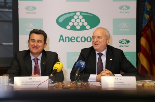 El Grupo Anecoop elevó casi un 6% su cifra de negocio, hasta 577,2 M€ en la campaña 2014/15