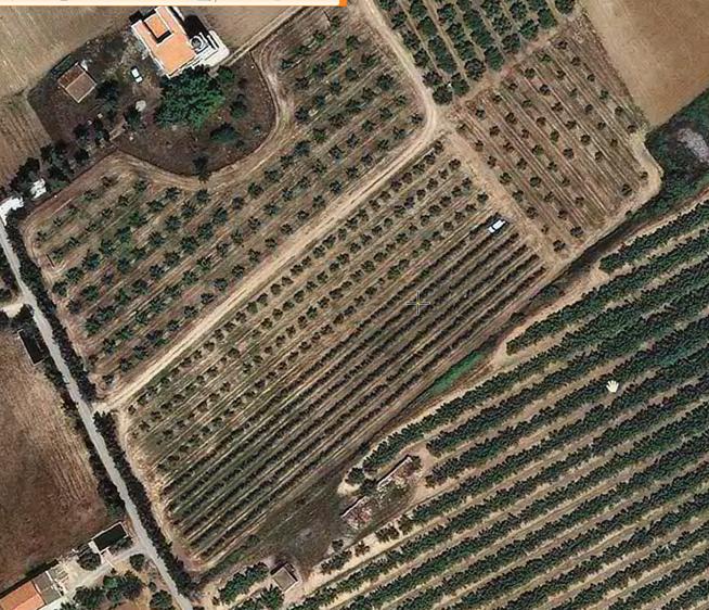 Eficiencia del riego deficitario controlado en olivar según distintos sistemas de plantación