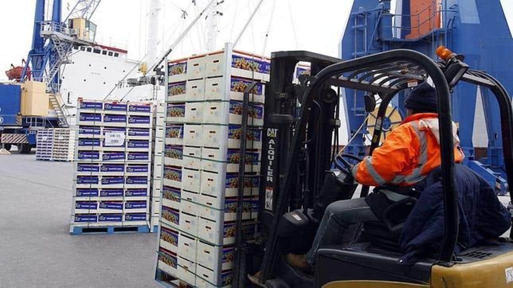 El superávit comercial agroalimentario de la UE alcanzó en octubre de 2023 su nivel más alto de los últimos tres años