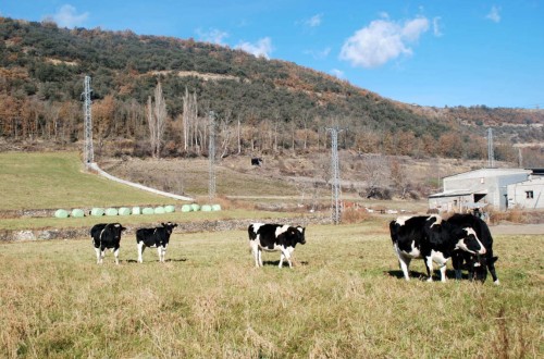 Nuevo simulador para el análisis de costes en vacuno de leche