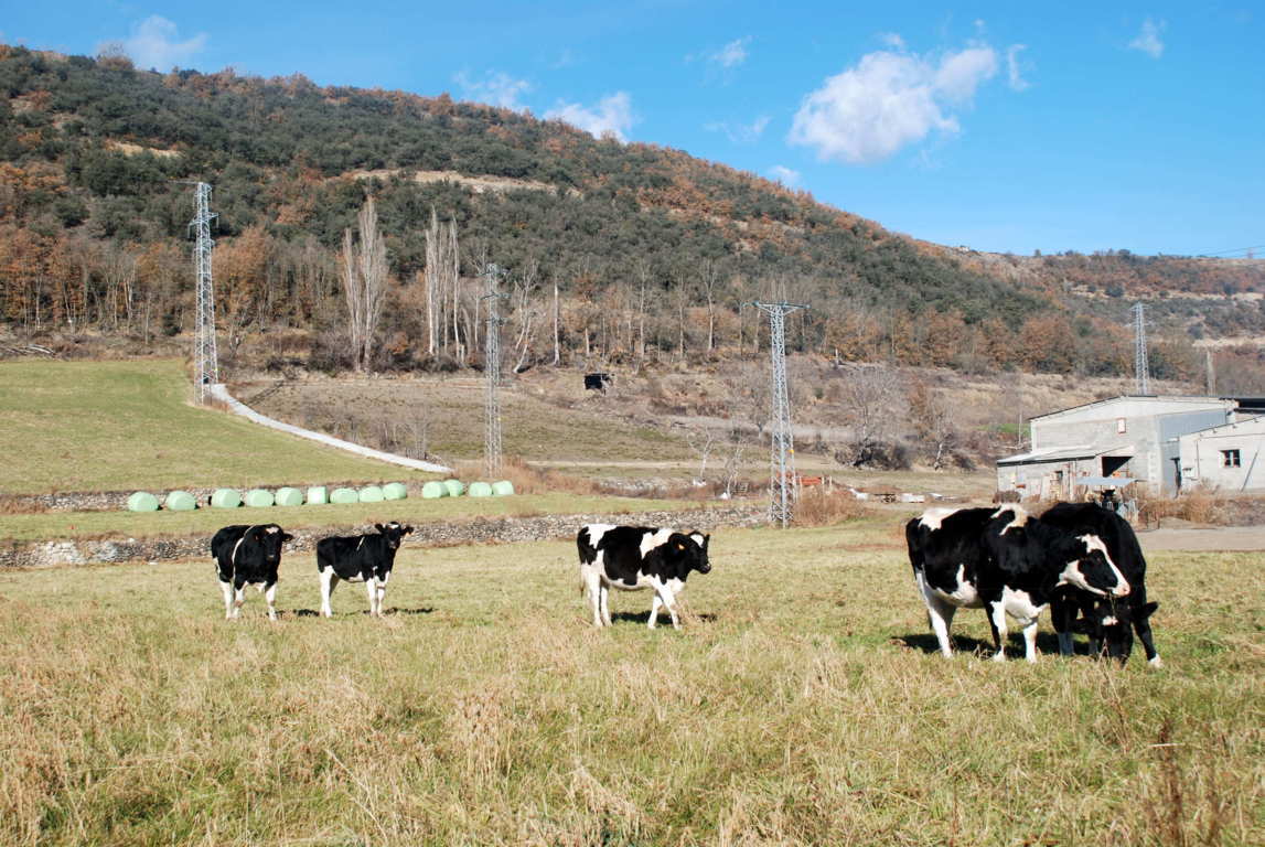 Nuevo simulador para el análisis de costes en vacuno de leche