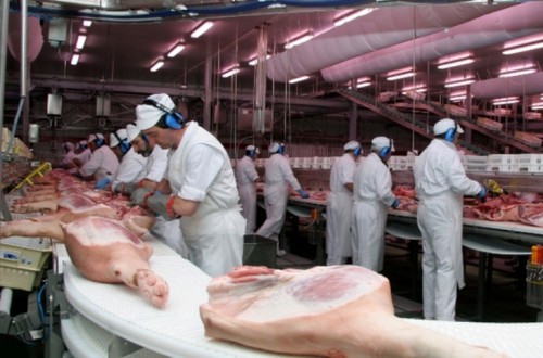 Polémico proyecto de decreto francés de etiquetado obligatorio de origen de la carne y de la leche