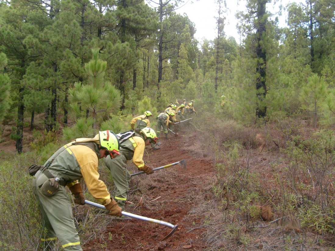 UGT impugnará el I Acuerdo Marco Forestal