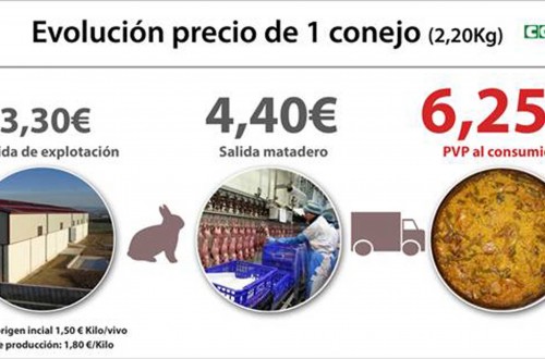 Cooperativas solicita en Bruselas herramientas para superar la situación de crisis del sector cunícola