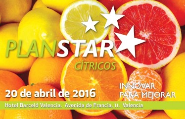 Últimas plazas disponibles para participar en el Plan STAR Cítricos en Valencia