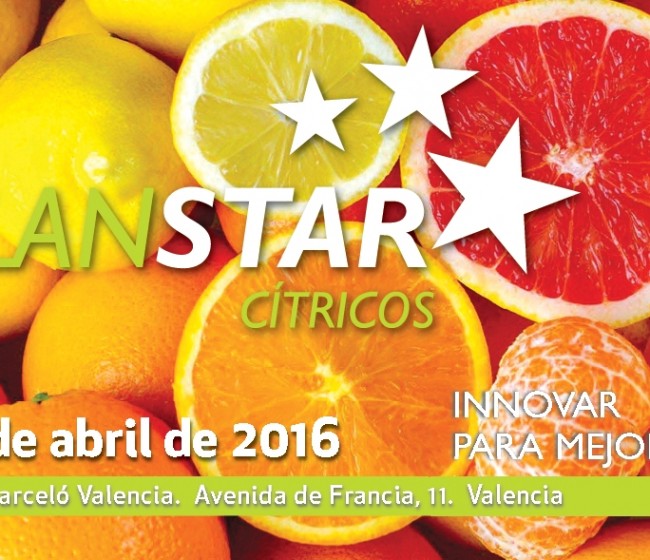 Últimas plazas disponibles para participar en el Plan STAR Cítricos en Valencia