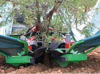 La necesaria mecanización en las plantaciones frutales de Aragón