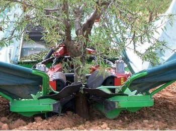 La necesaria mecanización en las plantaciones frutales de Aragón