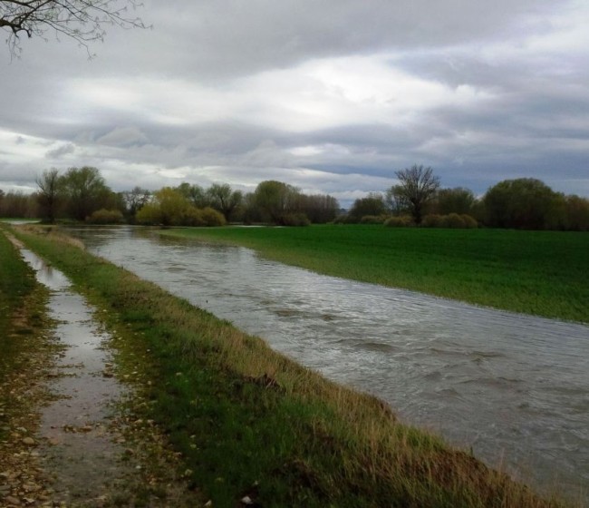 Pérdidas en miles de hectáreas de cultivos anegadas por el agua en Castilla y León