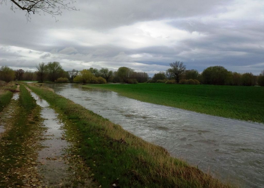 Pérdidas en miles de hectáreas de cultivos anegadas por el agua en Castilla y León