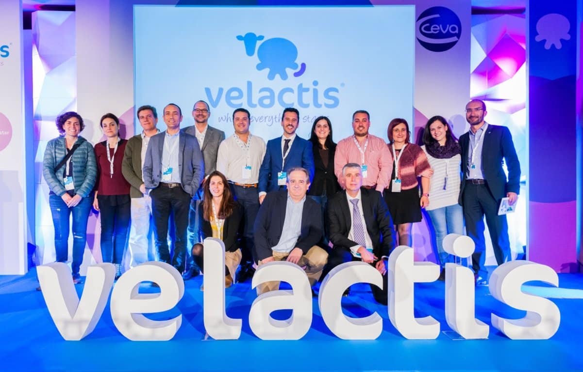 Ceva lanza Velactis, un facilitador del secado para vacas de leche