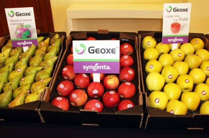 Geoxe, una nueva tecnología para tratar la fruta en campo y alargar su vida poscosecha