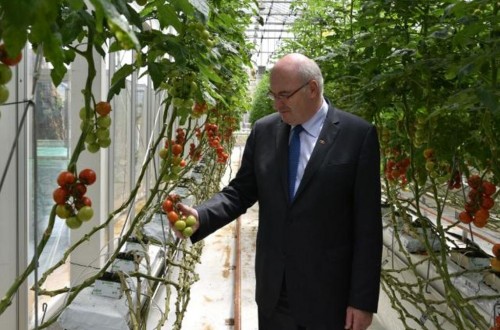 Eucofel-FEPEX ven gran potencial para el sector de fruta de hueso español en China