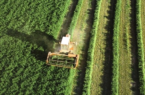 El órgano auditor de la UE  resalta  la falta de datos adecuados sobre la renta de los agricultores