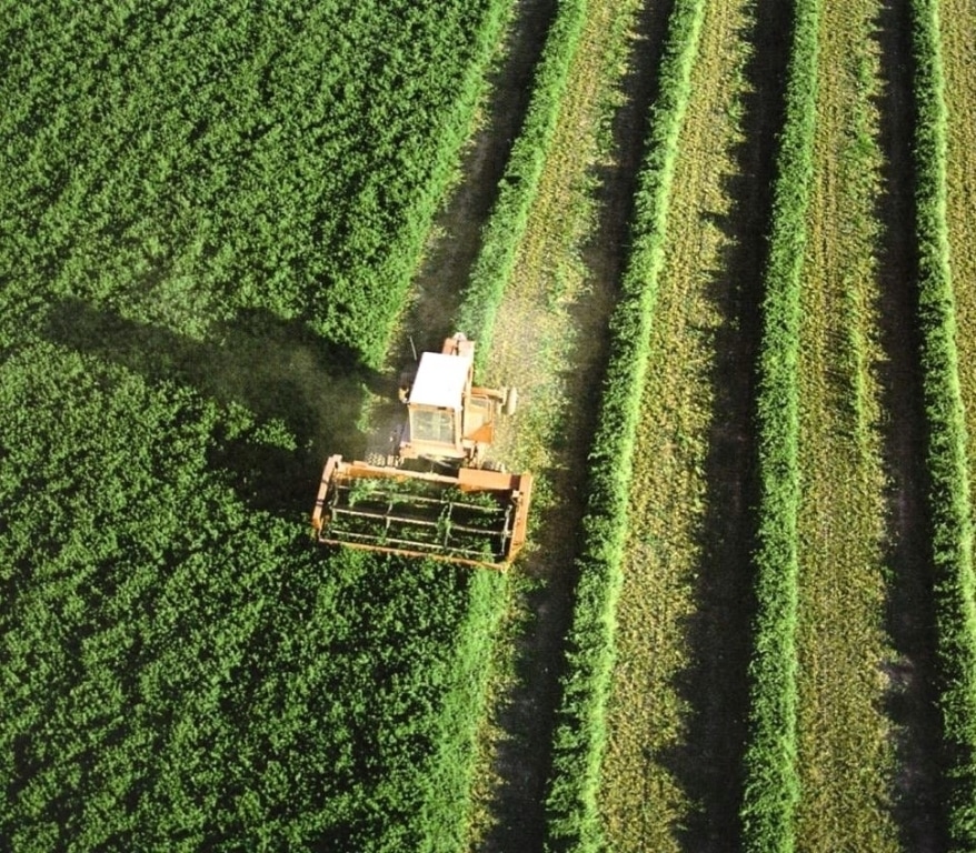 El órgano auditor de la UE  resalta  la falta de datos adecuados sobre la renta de los agricultores