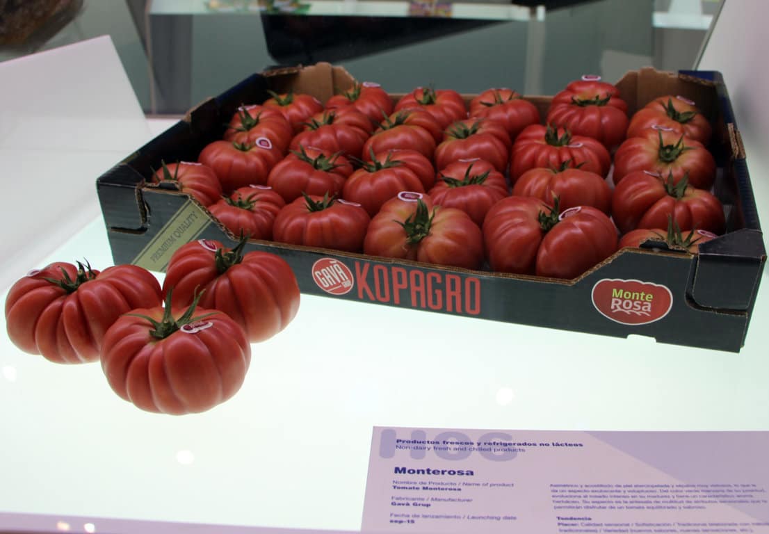 GavàGrup y Semillas Fitó presentan Monterosa, un tomate con sabor tradicional en cultivos de invierno