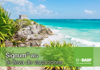 Basf sortea un viaje a la Riviera Maya para premiar la confianza en Signum WG