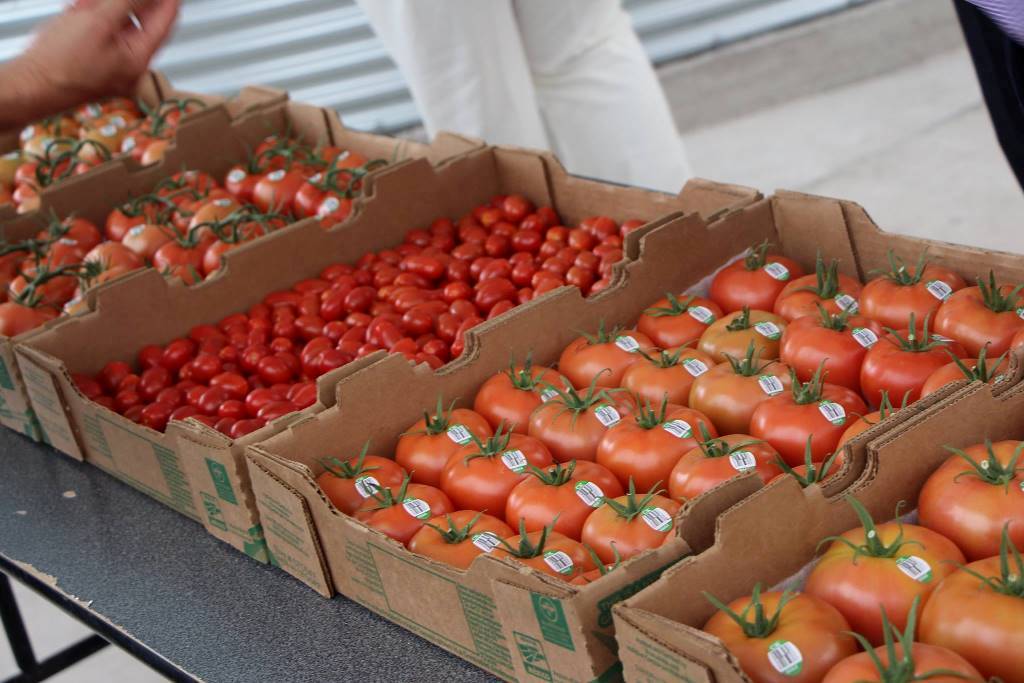 Tomate fresco, “barato, barato” de Almería para el mercado de la UE