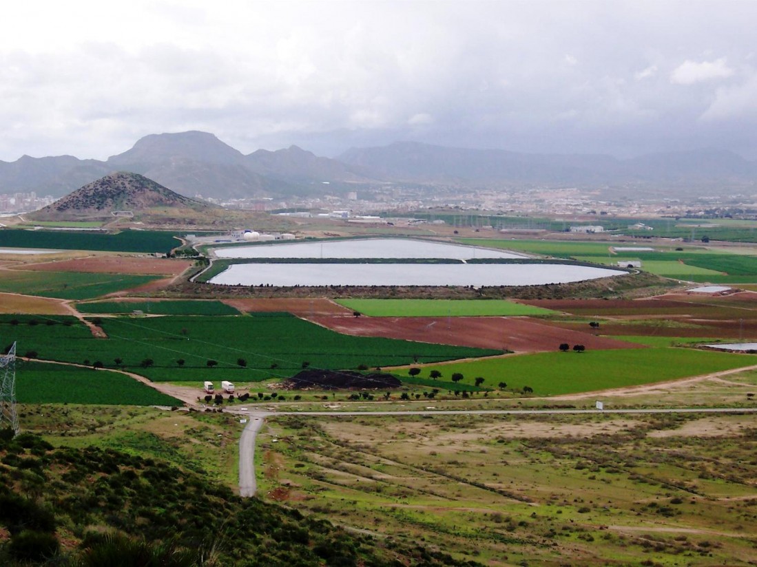 Agricultura redujo la licitación de ingeniería en casi un 70% en los últimos 10 años, según FIDEX