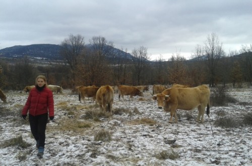 La disponibilidad de tierras es el problema principal de más de la mitad de los agricultores jóvenes de la UE