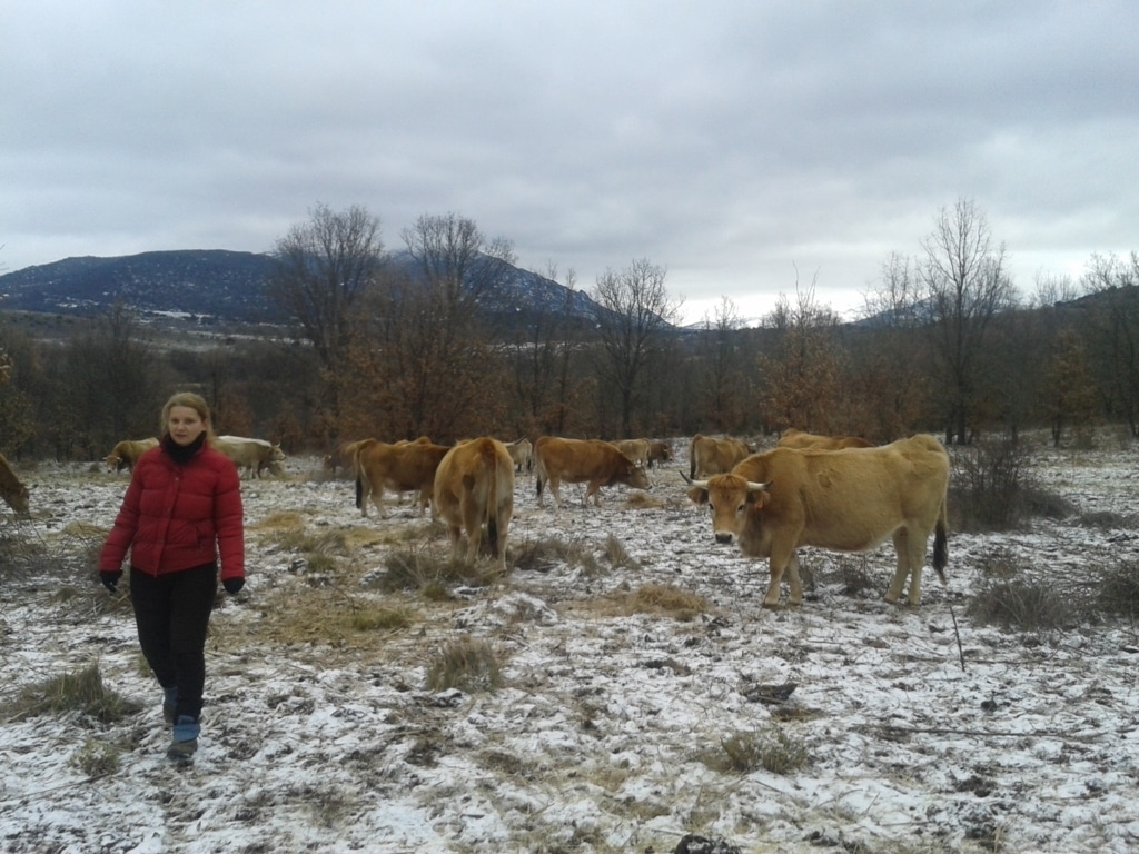 La disponibilidad de tierras es el problema principal de más de la mitad de los agricultores jóvenes de la UE