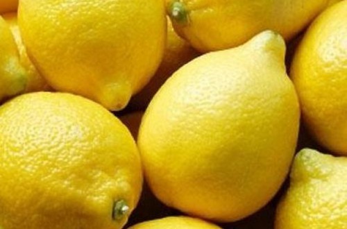 Satisfacción por la decisión de la UE de someter a los limones turcos a controles adicionales