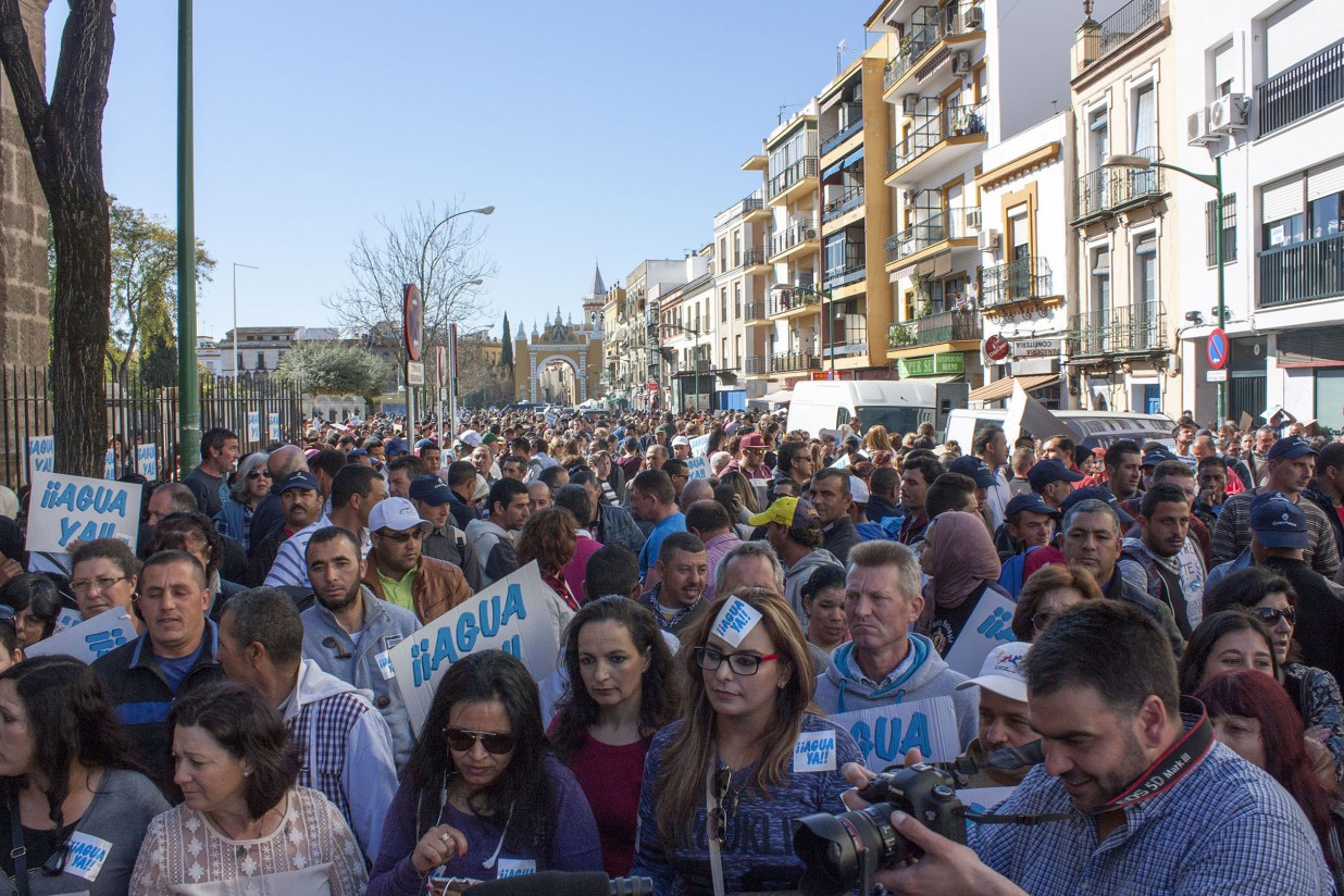 Miles de personas se manifiestan para que se modifique el Plan Especial de los Regadíos de Doñana
