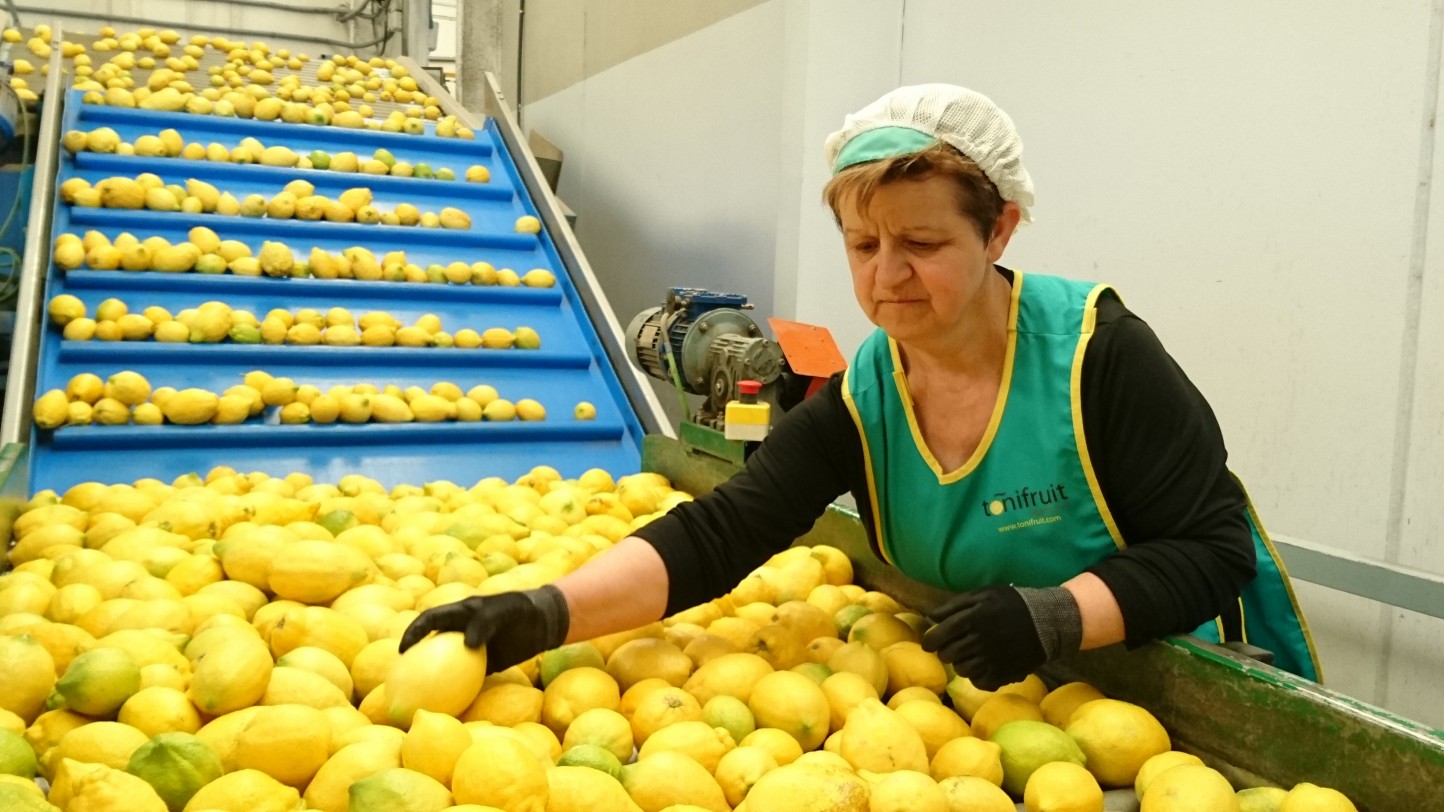 Toñifruit, empresa murciana especializada en agricultura ecológica, nueva socia de Anecoop