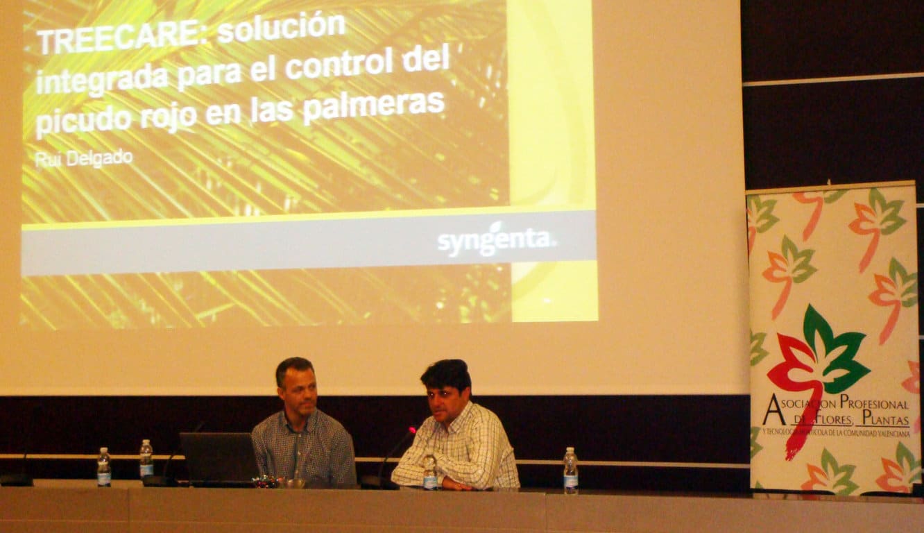 Syngenta presenta su estrategia TreeCare contra el picudo rojo de las palmeras