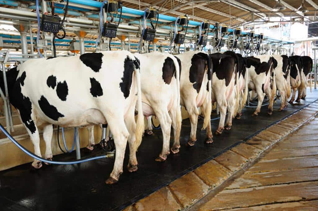 Las entregas de leche de vaca subieron de forma más atenuada en marzo
