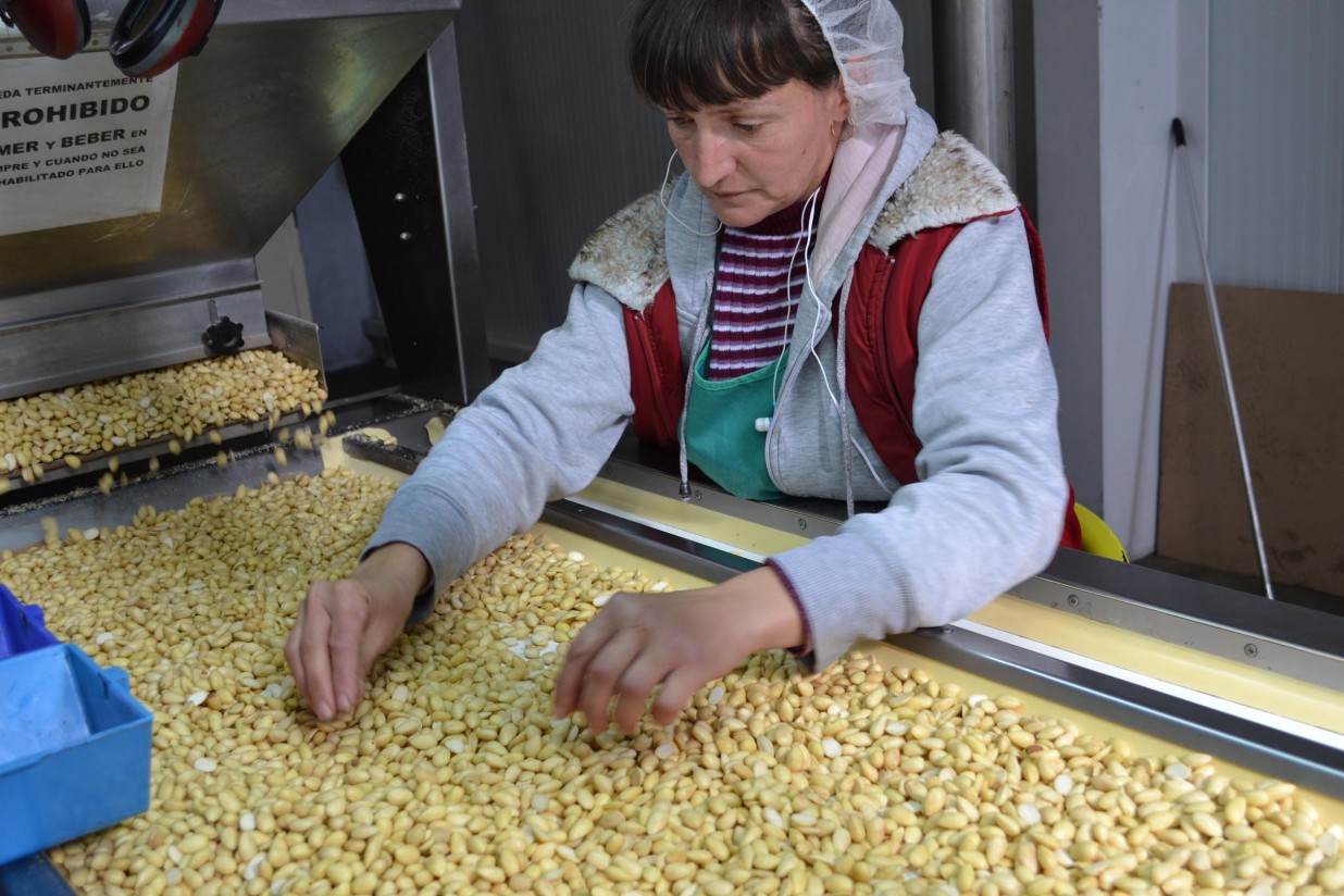 La producción de almendra disminuirá un 21% en Andalucía como consecuencia de la inusual meteorología